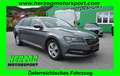 Skoda Superb Superb Kombi 2,0 TDI DSG LED VIRTUAL 1.Besitz Gris - thumbnail 1