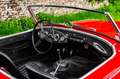 Austin-Healey 100 100/6 BN6 Rood - thumbnail 3