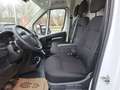 Opel Movano Ka 35+ L3H2 BlueHDI 140 Weiß - thumbnail 19
