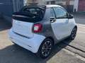smart forTwo Fortwo Cabrio 1.0 mhd Passion 71cv FL - thumbnail 7