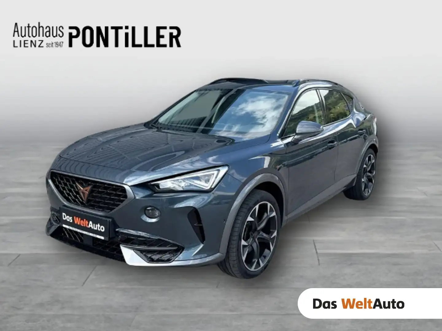 CUPRA Formentor Alpha 1.5 TSI 150 PS ACT Grau - 1