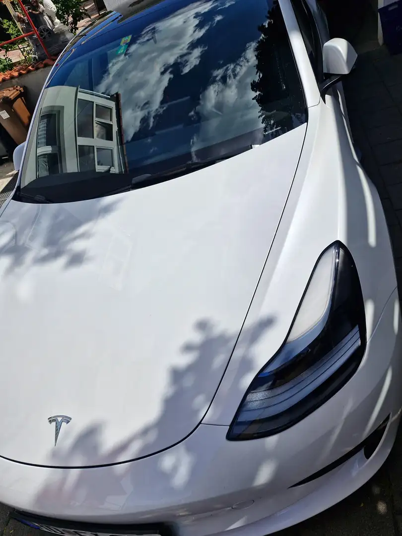 Tesla Model 3 Model 3 Standard Reichweite Plus Hinterradantrieb Weiß - 2