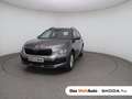 Skoda Kamiq Selection TSI DSG Grau - thumbnail 1