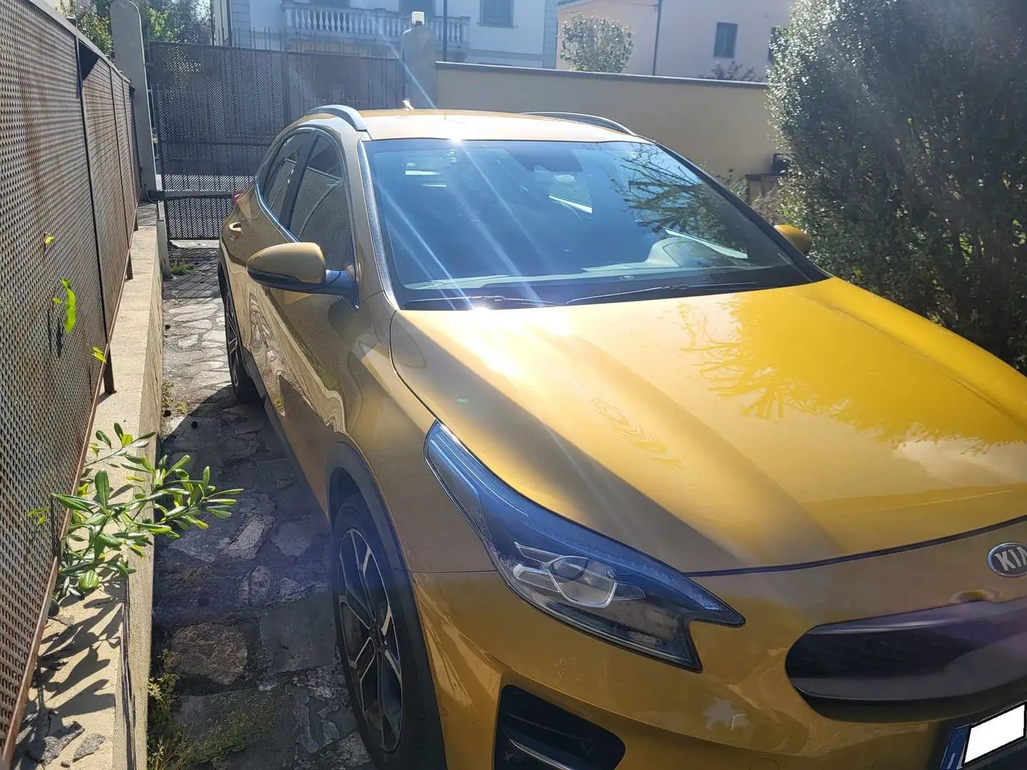 Kia XCeed XCeed 2019 1.6 crdi Style 115cv Золотистый - 1