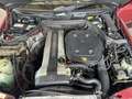 Mercedes-Benz 300 CE-24 Cabrio Sports Line *H-Kennzeichen* Rojo - thumbnail 16