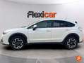 Subaru XV 1.6i Executive CVT Blanco - thumbnail 7