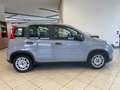 Fiat Panda 1.0 firefly hybrid s&s 70cv Bleu - thumbnail 5