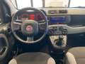 Fiat Panda 1.0 firefly hybrid s&s 70cv Bleu - thumbnail 10