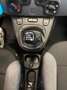 Fiat Panda 1.0 firefly hybrid s&s 70cv Bleu - thumbnail 12