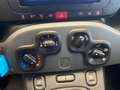 Fiat Panda 1.0 firefly hybrid s&s 70cv Bleu - thumbnail 14