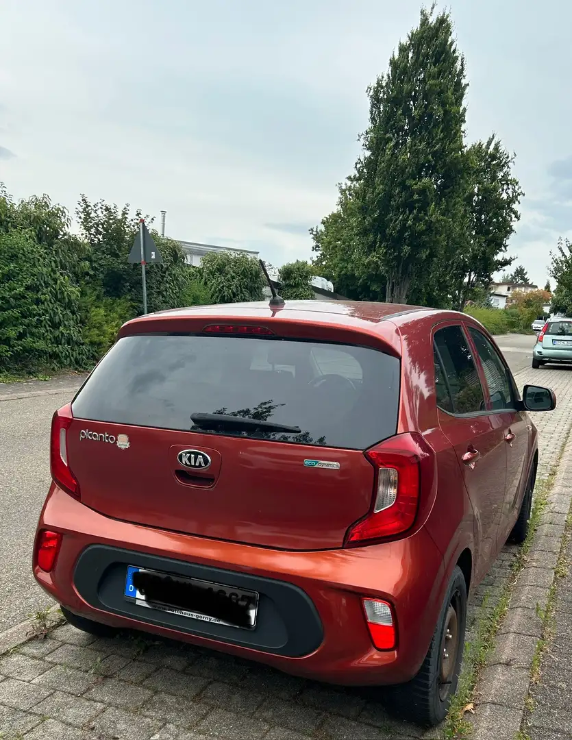 Kia Picanto Dream Team Orange - 2