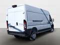 Toyota Proace Max EV Meister L3H2 425H LED KAMERA KLIMAAU Wit - thumbnail 8