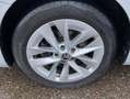 Skoda Octavia Combi iV 1.4 TSI DSG LED+SMART-LINK+VIRT Silber - thumbnail 8