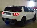 Land Rover Discovery Sport TD4 SE 4x4 Navi Xenon BlackPack Blanc - thumbnail 6