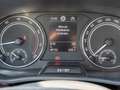 Skoda Fabia 1.0 TSI Tour Business Paket, Navi Blanc - thumbnail 12