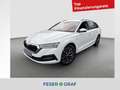 Skoda Octavia Combi Clever 1.5 TSI DSG AHK Kamera Weiß - thumbnail 1