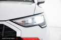 Audi Q3 40 TFSI quattro S tronic Business Bianco - thumbnail 12