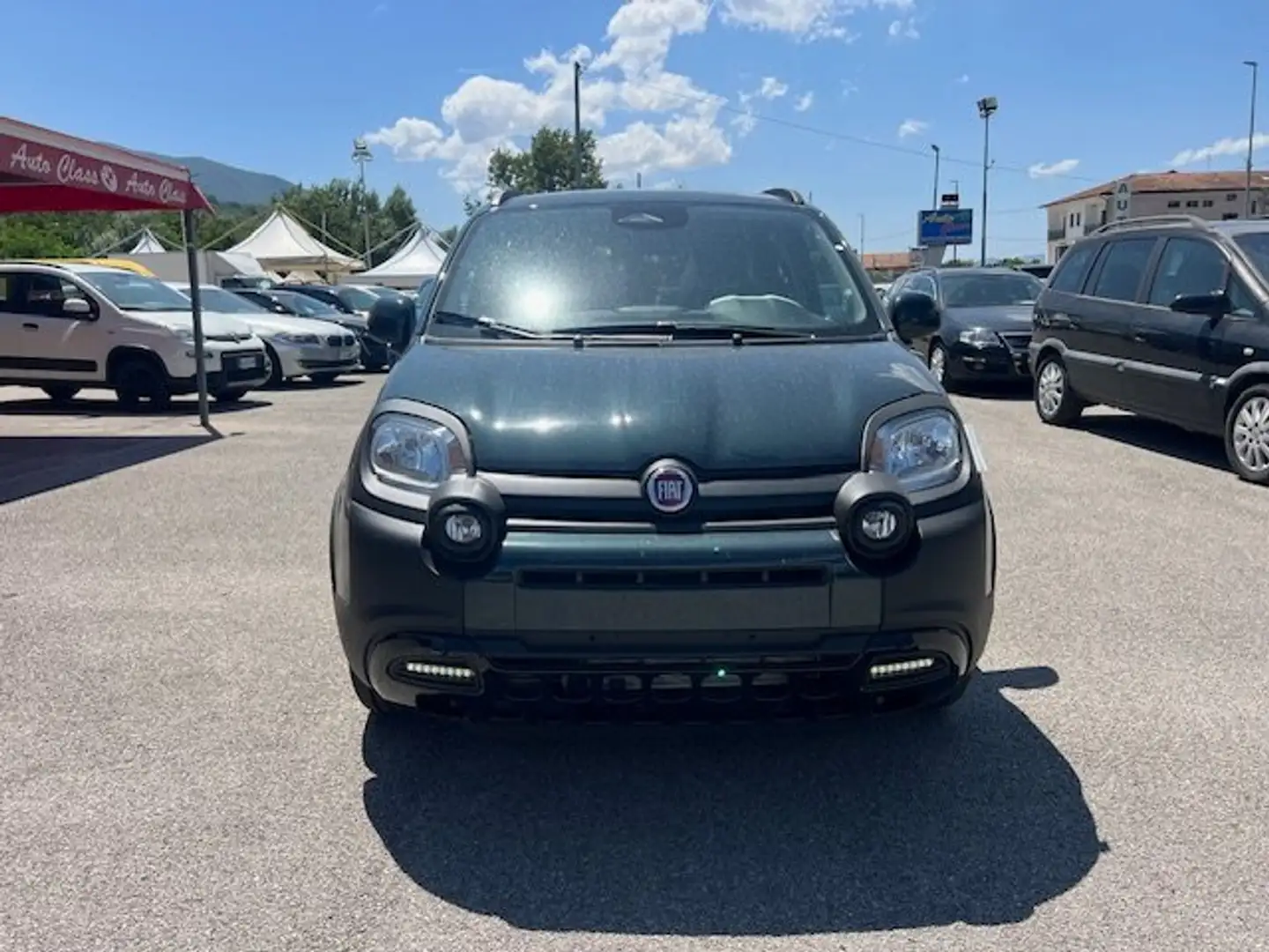 Fiat Panda Pandina 1.0 firefly hybrid Cross Verde - 2