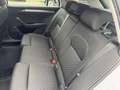 Skoda Superb Superb Kombi 2,0 TDI Combi Style Weiß - thumbnail 14