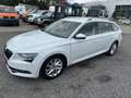 Skoda Superb Superb Kombi 2,0 TDI Combi Style Weiß - thumbnail 1