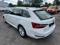 Skoda Superb Superb Kombi 2,0 TDI Combi Style Weiß - thumbnail 7