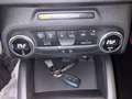 Ford Focus ACTIVE 5 PORTE 1.0 HYBRID 125CV Rot - thumbnail 14