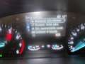 Ford Focus ACTIVE 5 PORTE 1.0 HYBRID 125CV Rot - thumbnail 11