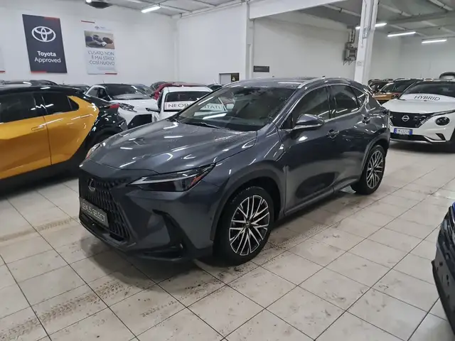 Lexus NX 300 NX Hybrid 4WD Luxury