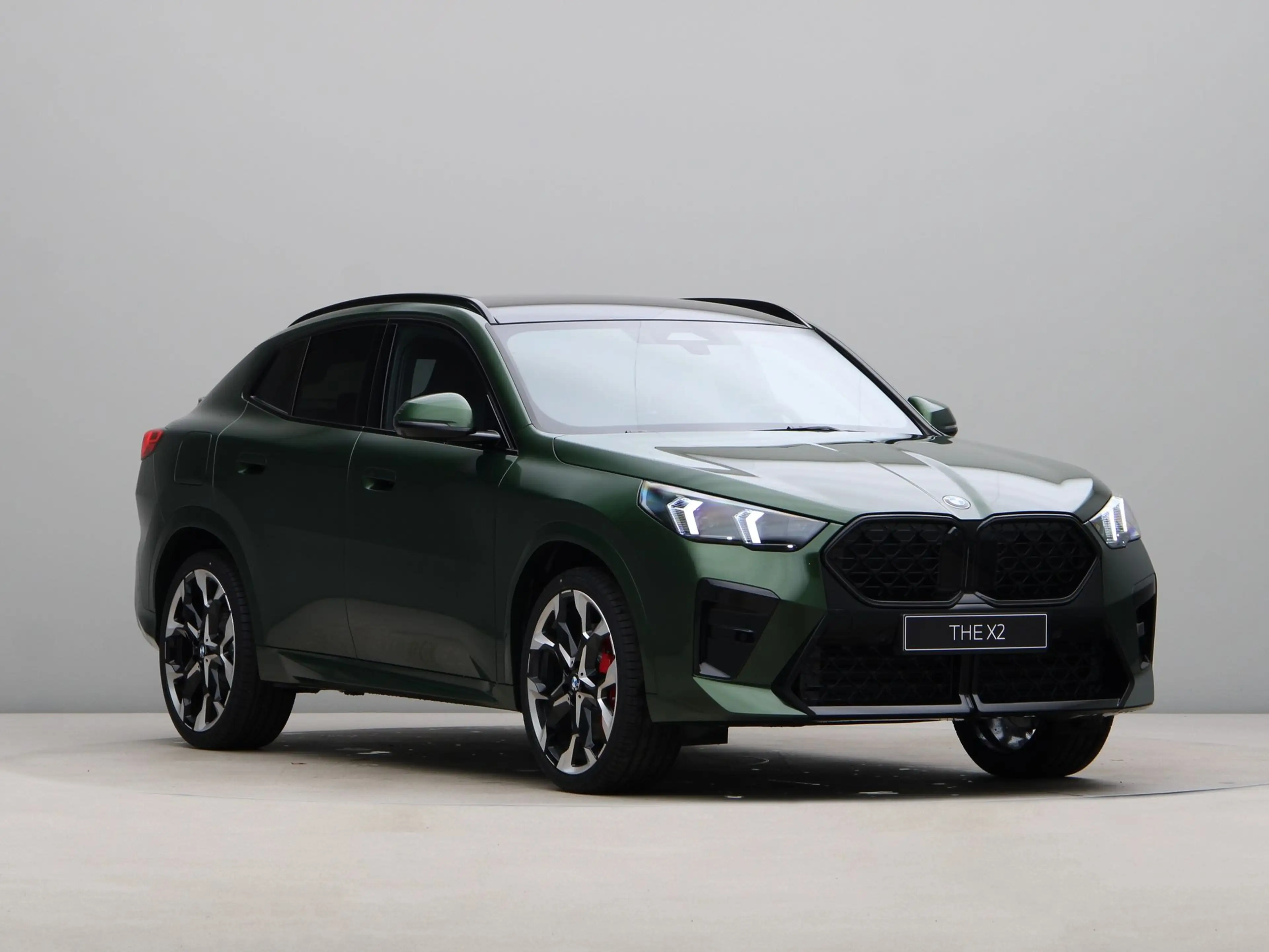 BMW X2 sDrive20i ANGLESEY GREEN — photo 7