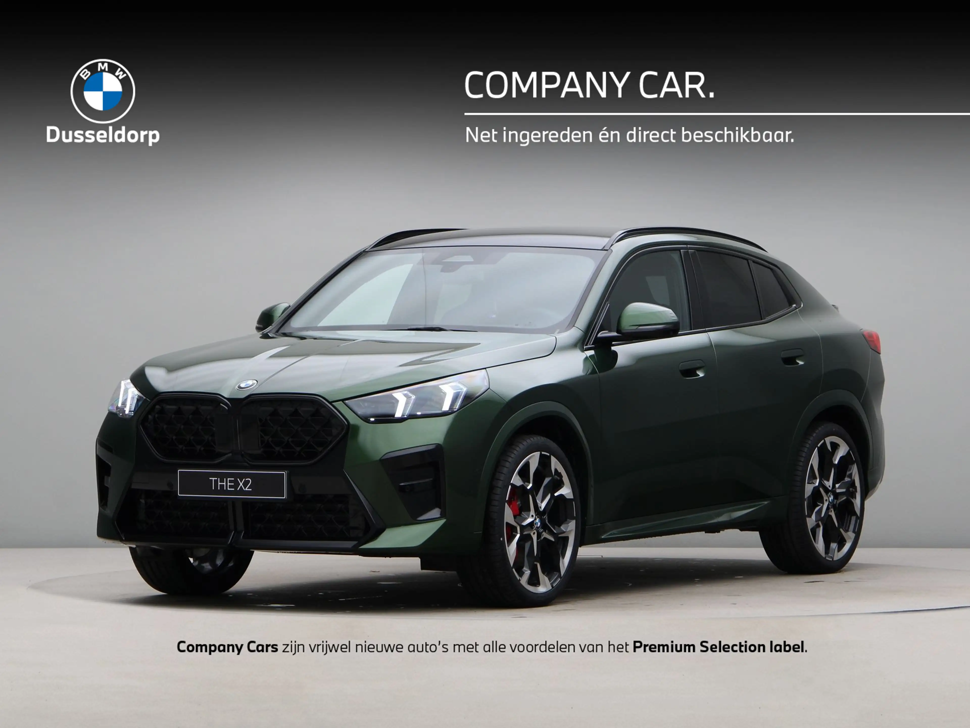 BMW X2 sDrive20i ANGLESEY GREEN