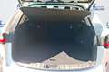 Lexus NX 350h Business 2WD Blanco - thumbnail 7