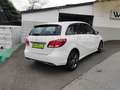 Mercedes-Benz B 200 CDI *7G-TRONIC*KAMERA*LEDER* bijela - thumbnail 7
