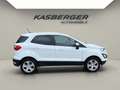 Ford EcoSport 1,0 EcoBoost Trend Weiß - thumbnail 3