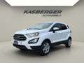 Ford EcoSport 1,0 EcoBoost Trend Weiß - thumbnail 1