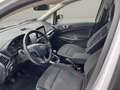 Ford EcoSport 1,0 EcoBoost Trend Weiß - thumbnail 6