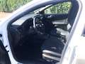 Ford Focus Turnier 1.0 Autom. ST-LINE X Leder Matrix tiefer A Weiß - thumbnail 10