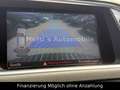 Audi SQ5 3.0 TDI quattro/Leder/Navi/Xenon/21-Zoll Zwart - thumbnail 16