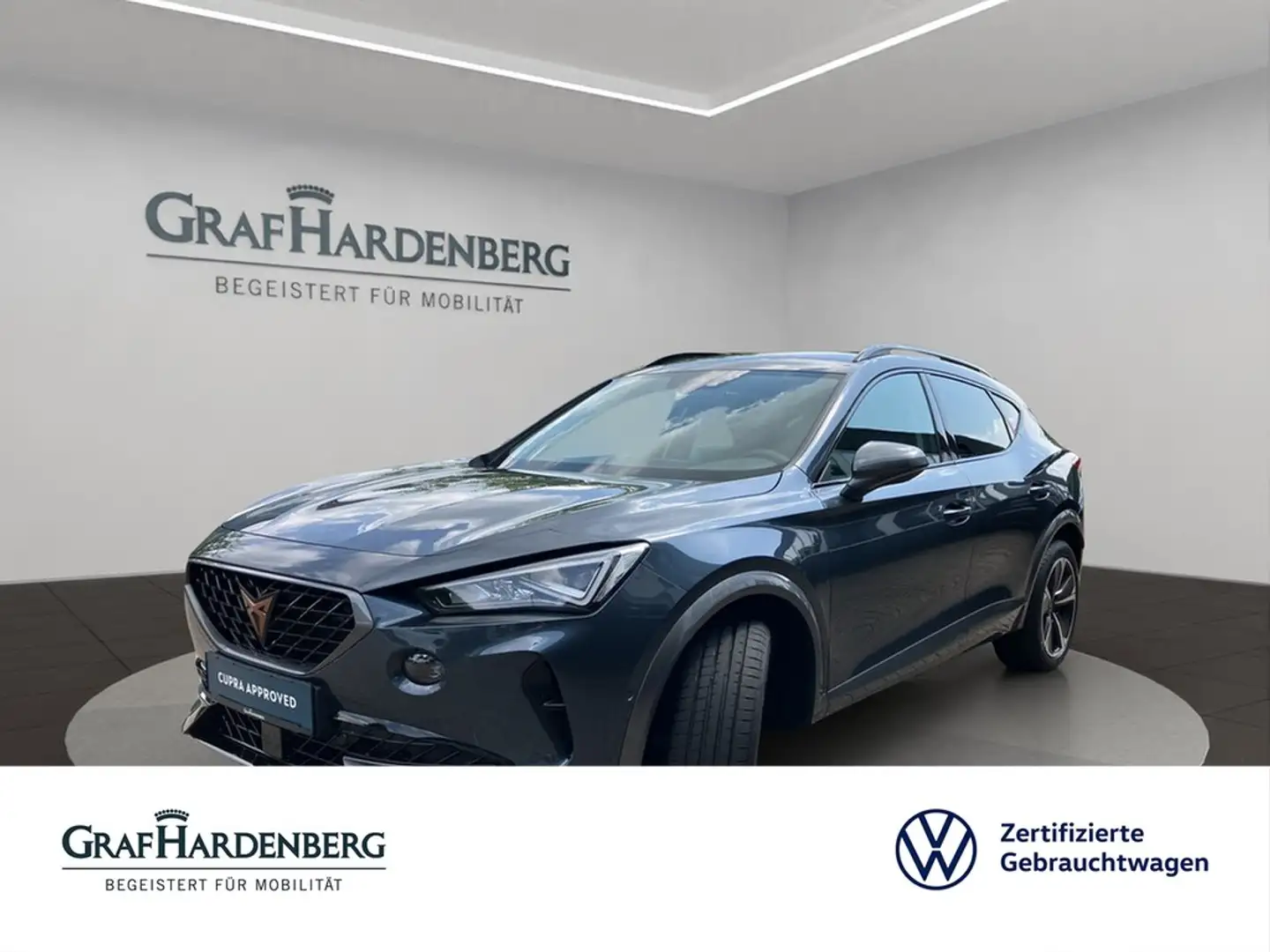 CUPRA Formentor 1.5 TSI Automatik LED Navi+ Grau - 1