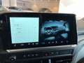 Volkswagen T7 Caravelle VW T7 Caravelle Life LR TDI 4MOTION Grau - thumbnail 29