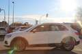 Audi Q3 Q3 II 2018 35 2.0 tdi Business Advanced s-tronic Bianco - thumbnail 6