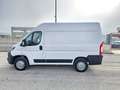Fiat Ducato 30 2.3 MJT 140CV PC-TM Furgone Bianco - thumbnail 12