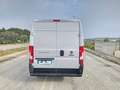Fiat Ducato 30 2.3 MJT 140CV PC-TM Furgone Bianco - thumbnail 7