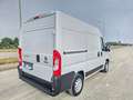 Fiat Ducato 30 2.3 MJT 140CV PC-TM Furgone Bianco - thumbnail 6