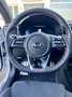Kia ProCeed / pro_cee'd ProCeed 1.6 T-GDI DCT7 OPF GT Weiß - thumbnail 8
