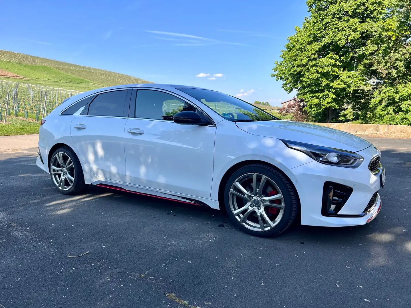 Kia ProCeed / pro_cee'd ProCeed 1.6 T-GDI DCT7 OPF GT Weiß - 1