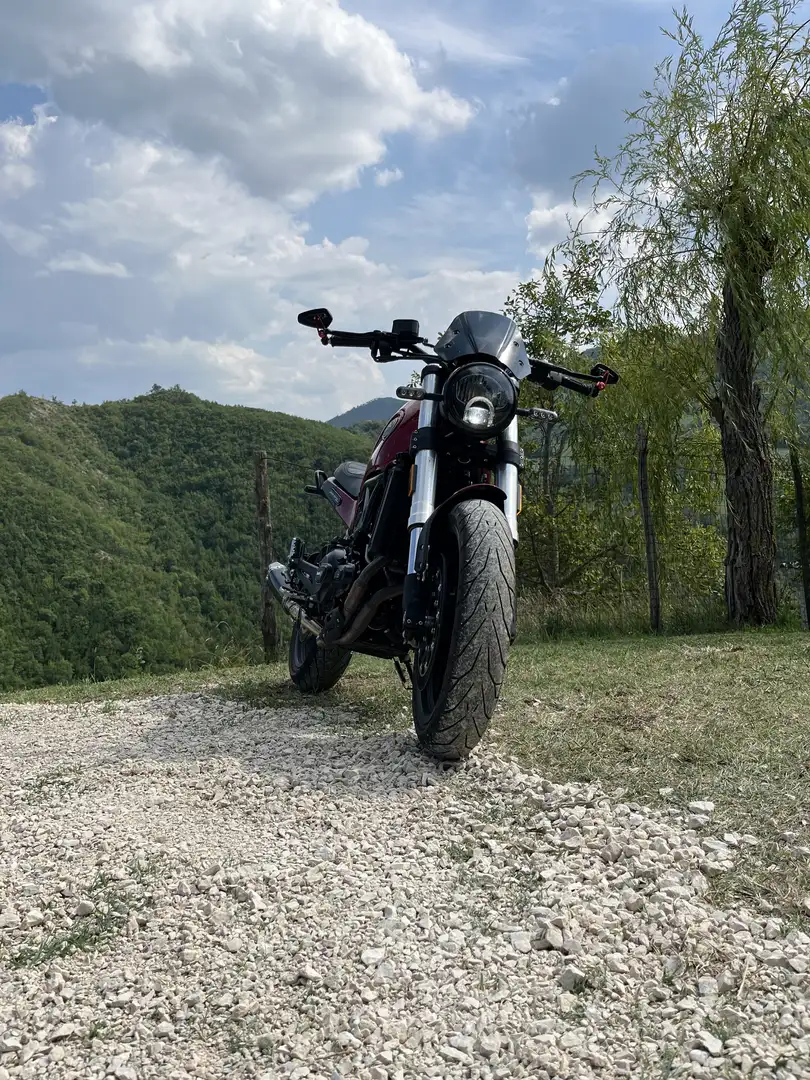 Benelli Leoncino - 1