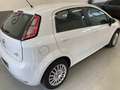 Fiat Punto 1.3 MJT 75 CV  Street adatta ai neopatentati Blanc - thumbnail 12
