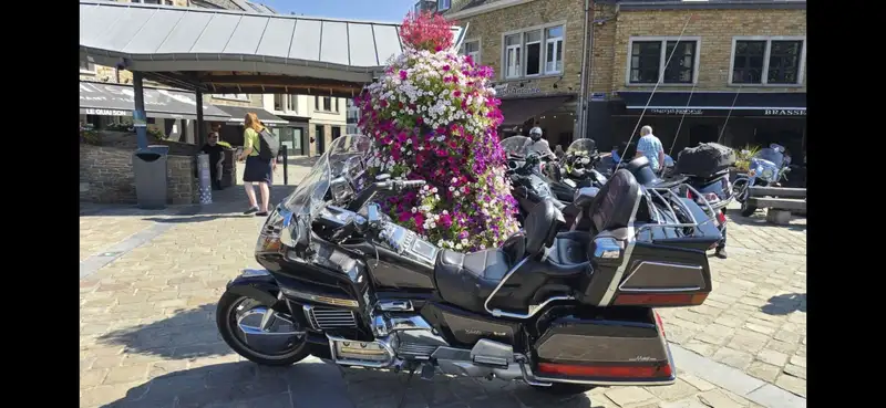 Honda Gold Wing - foto 2