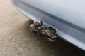Kia Picanto 1.0 X-pect 5-Deurs, Stuurbekrachtiging, Radio CD, Blu/Azzurro - thumbnail 25