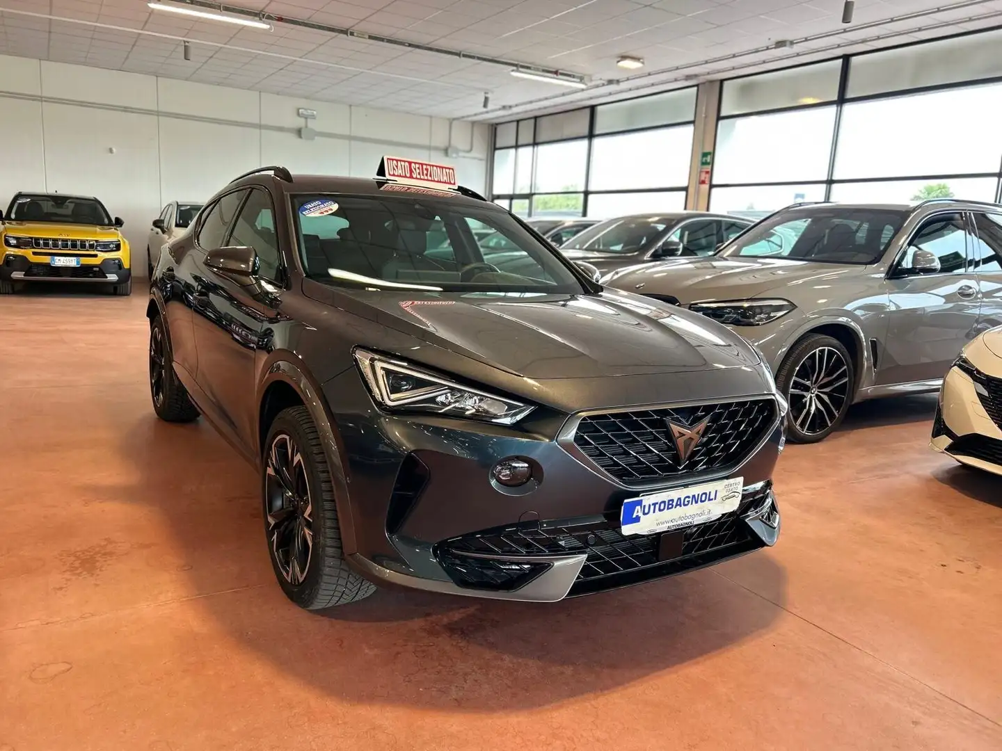 CUPRA Formentor 2.0 TDI 4Drive DSG 7000 KM Grigio - 2